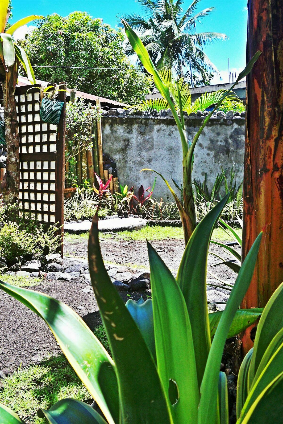 Balay de la Rama Bed&Breakfast Legazpi Exterior foto
